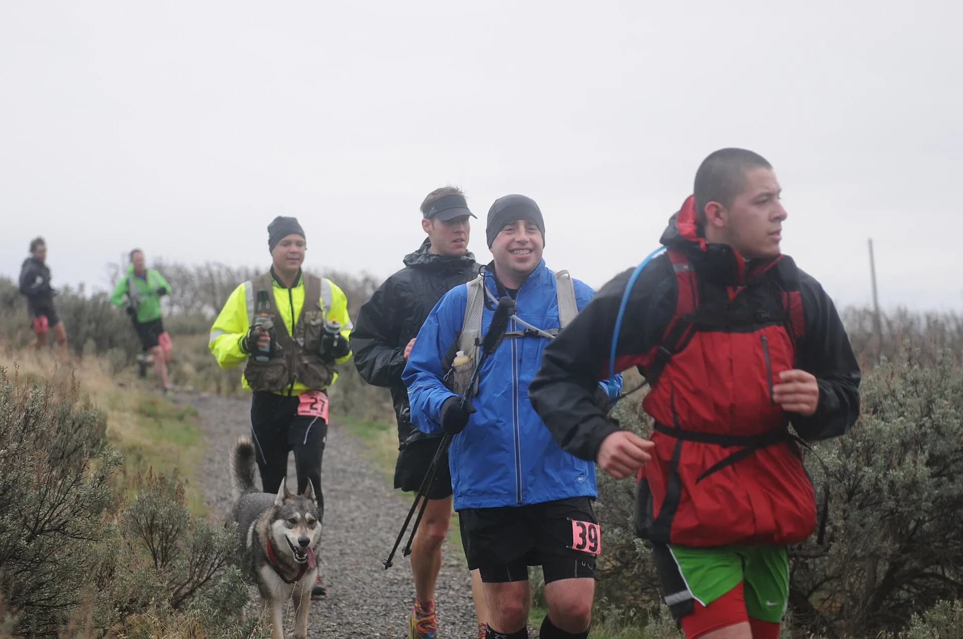 Trail runners and a dog sharing a hillside path